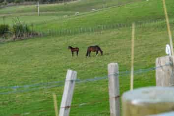 217 Underwood Road, Port Albert, Wellsford