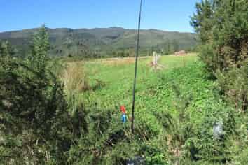 3/99 Powerhouse Road, Westport Surrounds