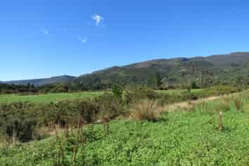 3/99 Powerhouse Road, Westport Surrounds