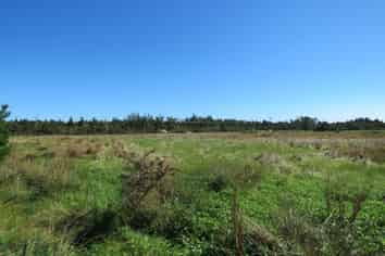 3/99 Powerhouse Road, Westport Surrounds