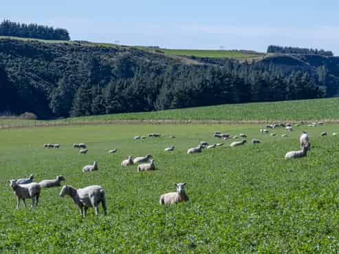 875 Esk Valley Road, Saint Andrews