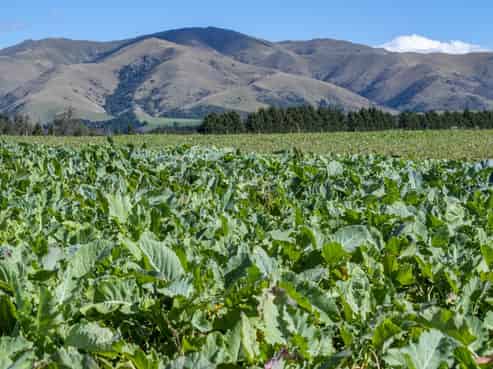 875 Esk Valley Road, Saint Andrews