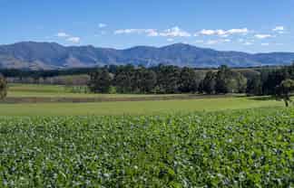 875 Esk Valley Road, Saint Andrews