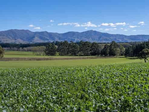 875 Esk Valley Road, Saint Andrews