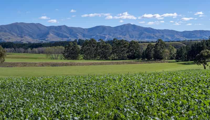 875 Esk Valley Road, Saint Andrews