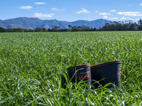 875 Esk Valley Road, Saint Andrews