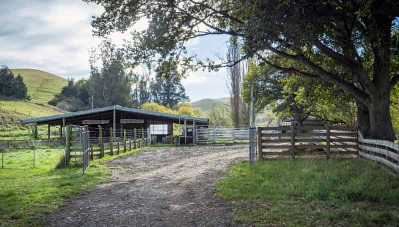 517 Waikakahi Valley Road, Ikawai