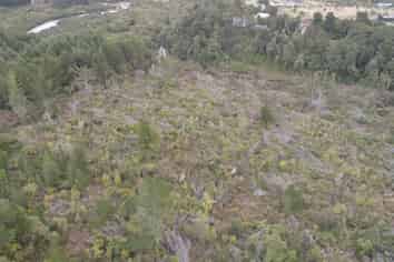 150 Maori Creek Road, Marsden