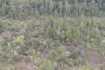 150 Maori Creek Road, Marsden