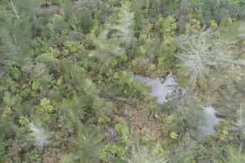 150 Maori Creek Road, Marsden