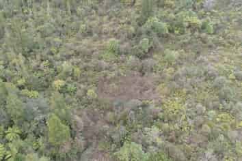 150 Maori Creek Road, Marsden