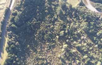 150 Maori Creek Road, Marsden