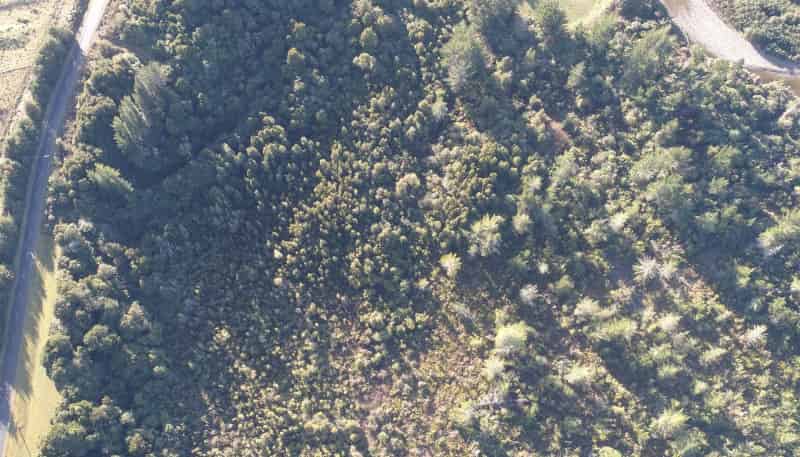 150 Maori Creek Road, Marsden