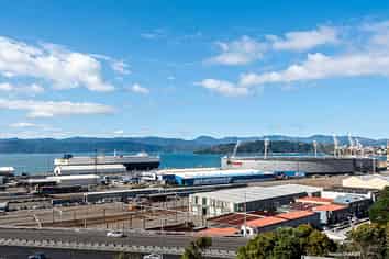 27/2 Newman Terrace, Thorndon