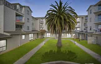 B8/13 Palm Grove, Berhampore