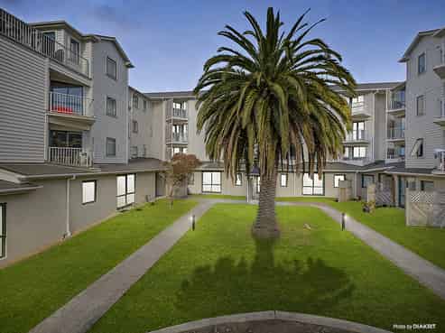 B8/13 Palm Grove, Berhampore