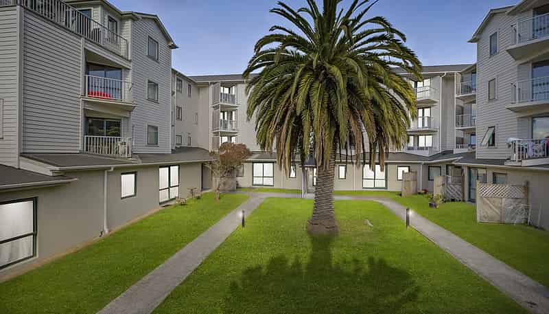 B8/13 Palm Grove, Berhampore