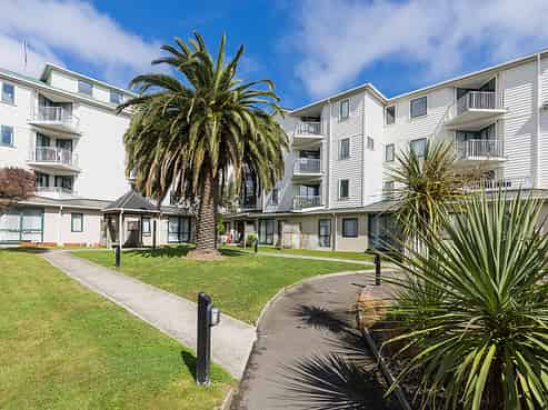 B8/13 Palm Grove, Berhampore