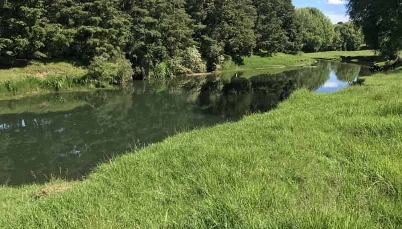 3512 Mangakahia Road, Pakotai