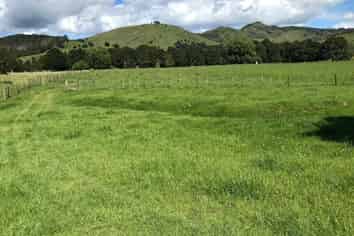 3512 Mangakahia Road, Pakotai