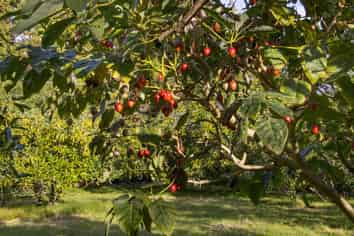 86 Pine Ridge Lane, Katikati