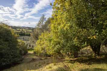 86 Pine Ridge Lane, Katikati