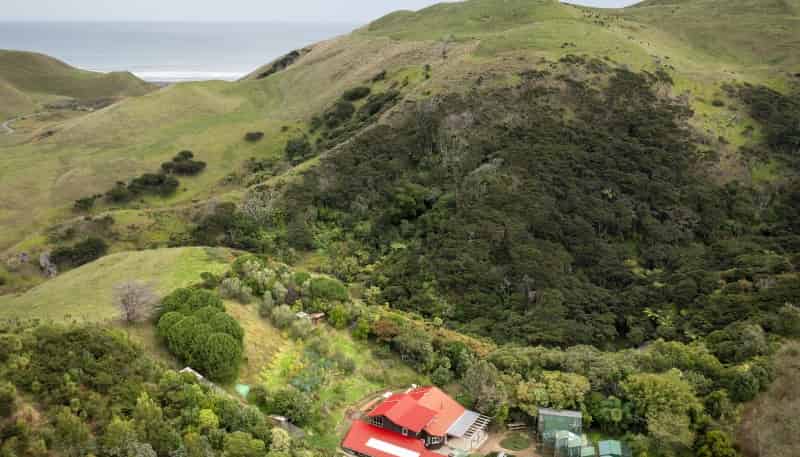 1784 Whaanga Road, Raglan