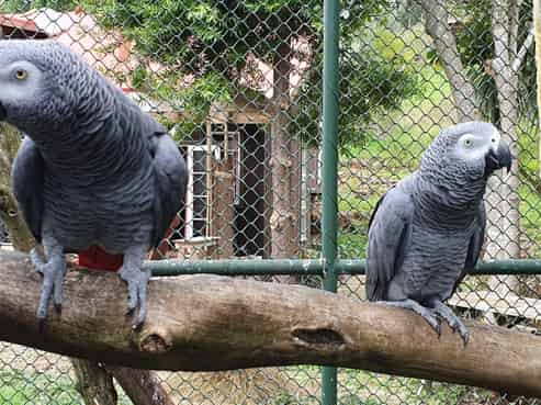 1784 Whaanga Road, Raglan