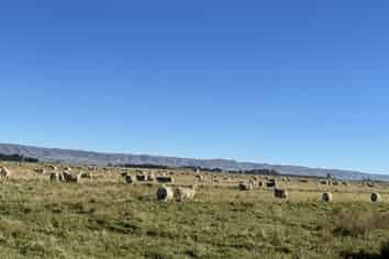  Lower Gimmerburn Road, Ranfurly