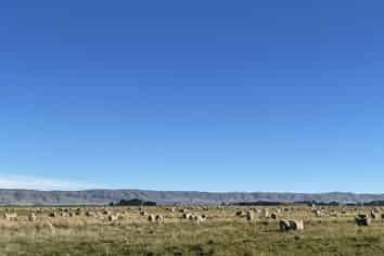  Lower Gimmerburn Road, Ranfurly