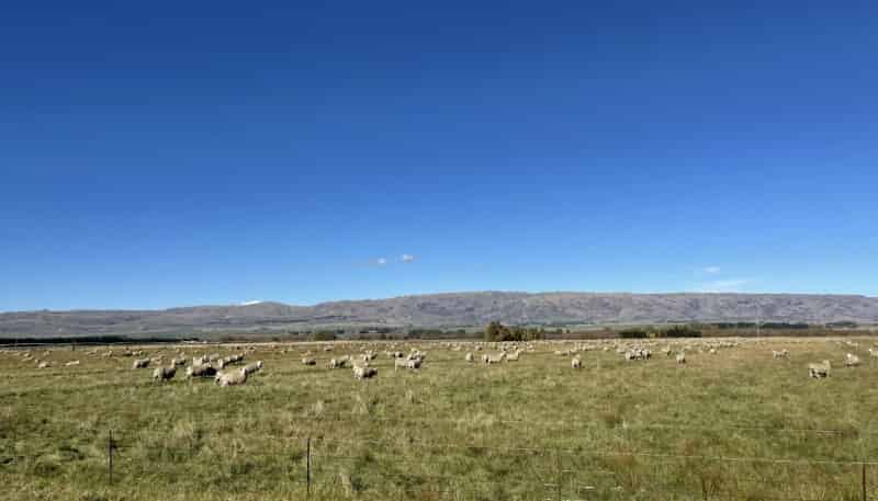 Lower Gimmerburn Road, Ranfurly