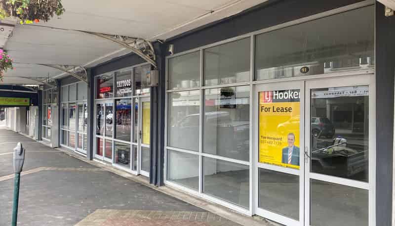 91 Guyton Street, Wanganui Central