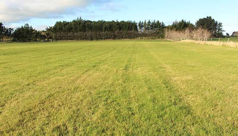 Lot 3 - 75 Curry Road, Kennington