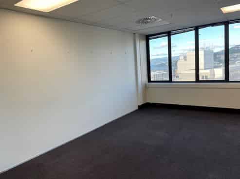 Premium Te Aro Office