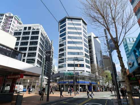 Premium Te Aro Office