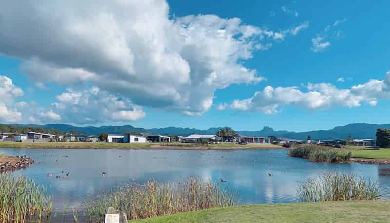 31/101 Harbour Drive, Matarangi