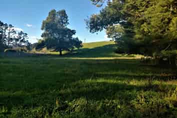 1764 Tarata Road, Tarata