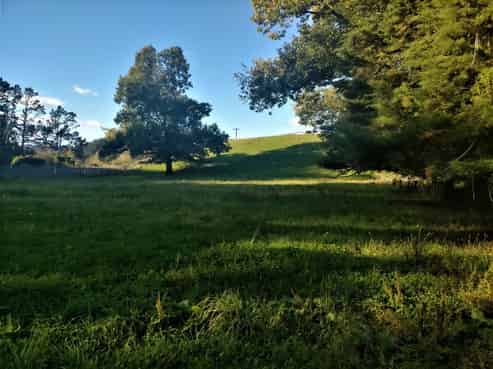 1764 Tarata Road, Tarata