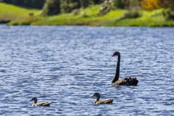 Lot 2, 4 Robert Hastie Drive, Mangawhai Heads
