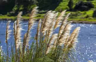 Lot 2, 4 Robert Hastie Drive, Mangawhai Heads