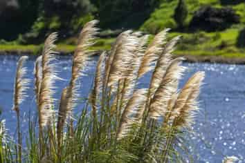 Lot 2, 4 Robert Hastie Drive, Mangawhai Heads