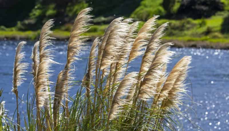 Lot 2, 4 Robert Hastie Drive, Mangawhai Heads