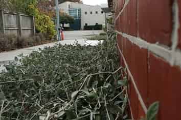 24 Arthur Street, Upper Riccarton