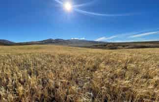 35 Kordia Way, Clyde