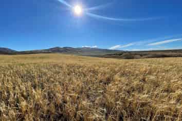 35 Kordia Way, Clyde