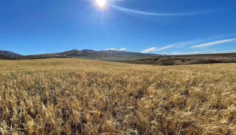 35 Kordia Way, Clyde