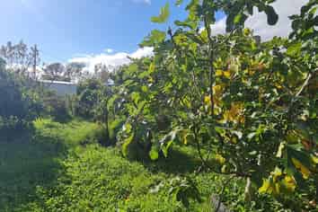 58 Marumaru Street, Marton