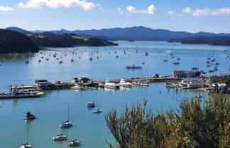 14 Sir George Back Street, Opua