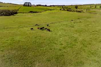 Lot 2/1310 Puketotara Road, Kerikeri