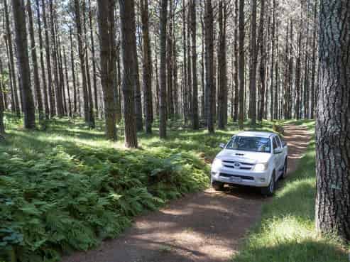 1134 Waihi Whangamata Road, Whiritoa